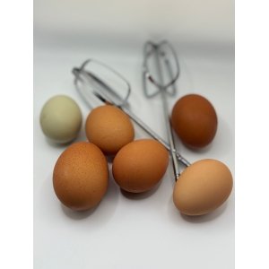 Eggs - Coastal Pastures Farm